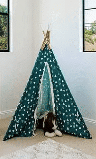 Green Tipi Tent
