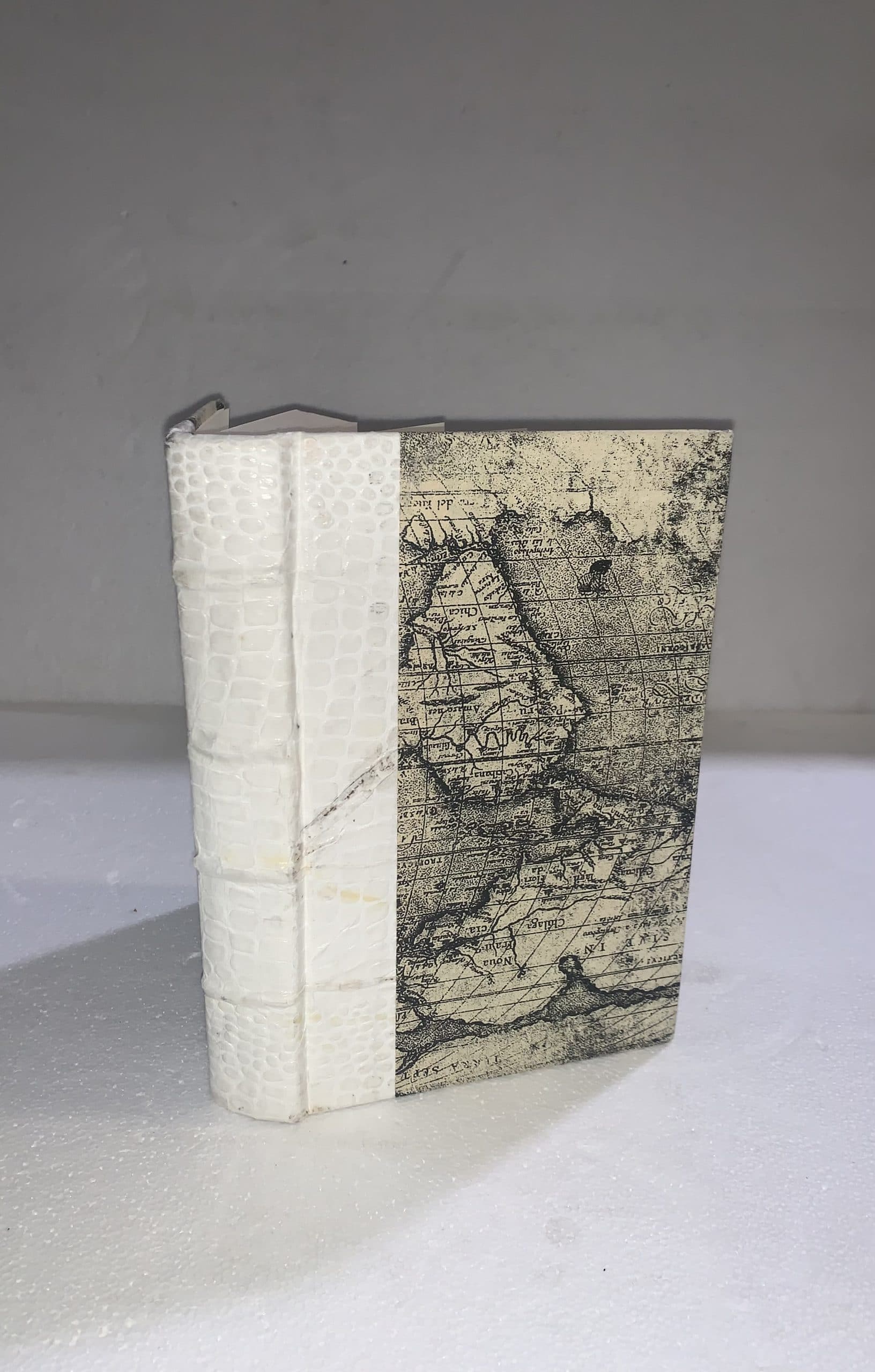 White Snake Skin & World Map Decorative Book I 6x9