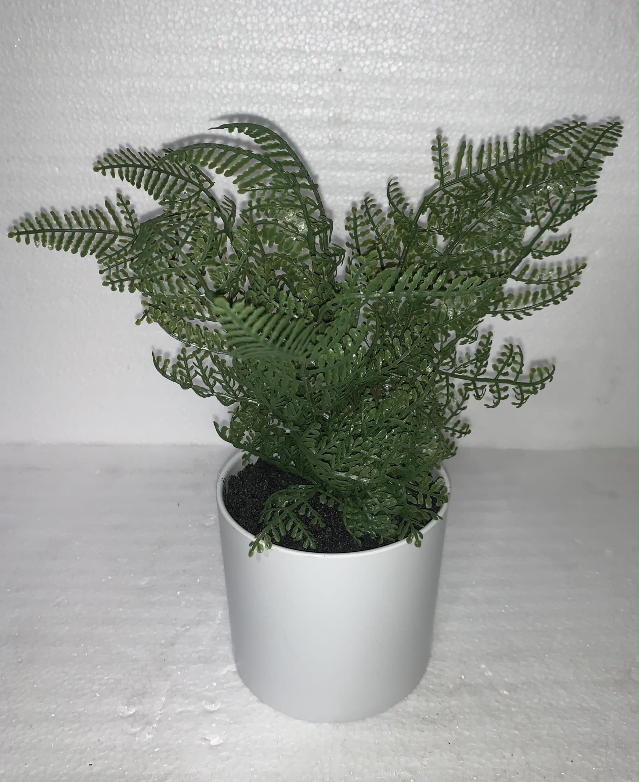 Assorted Green in White Short Vase 10"