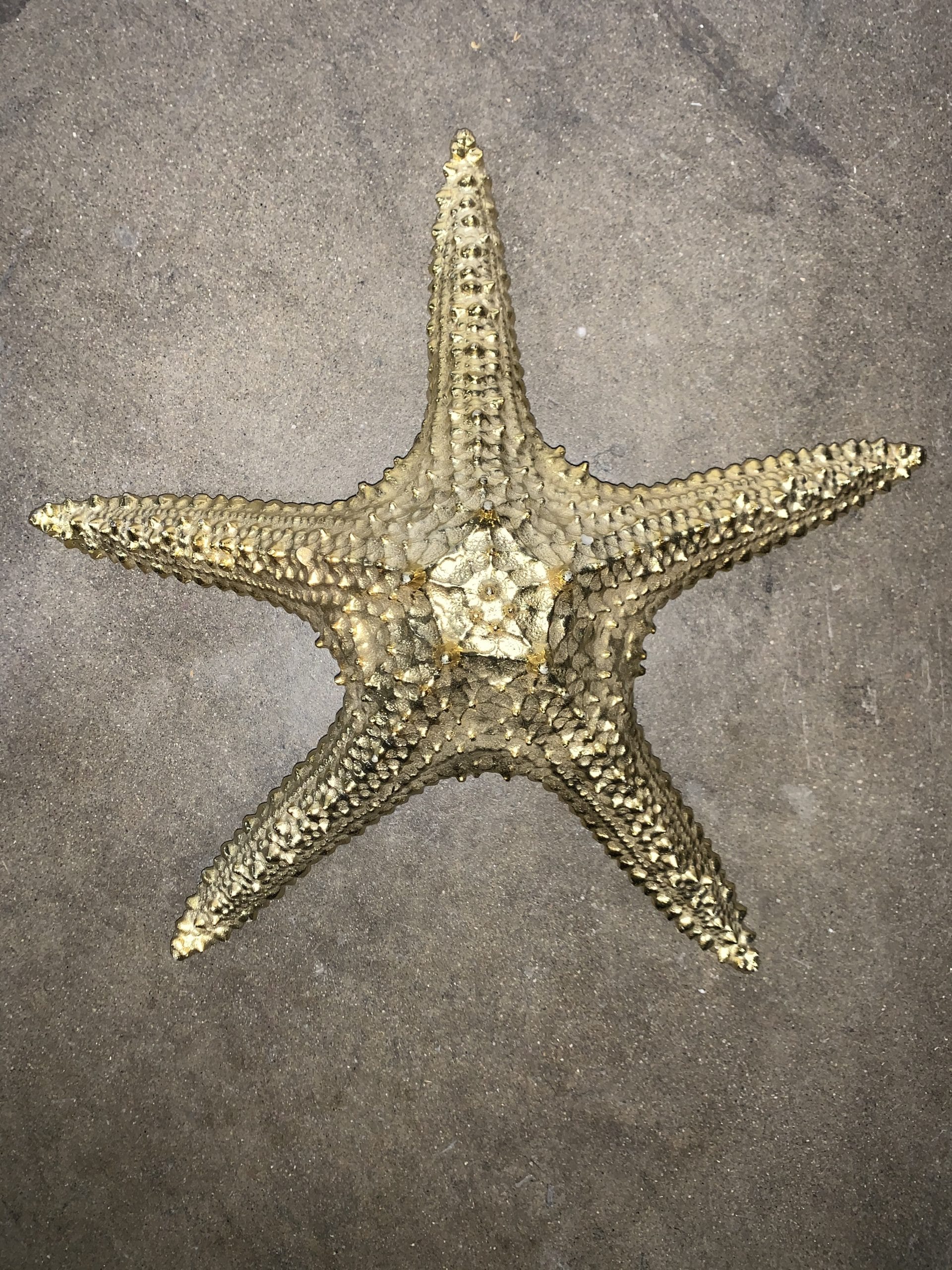 Champagne Textured Starfish