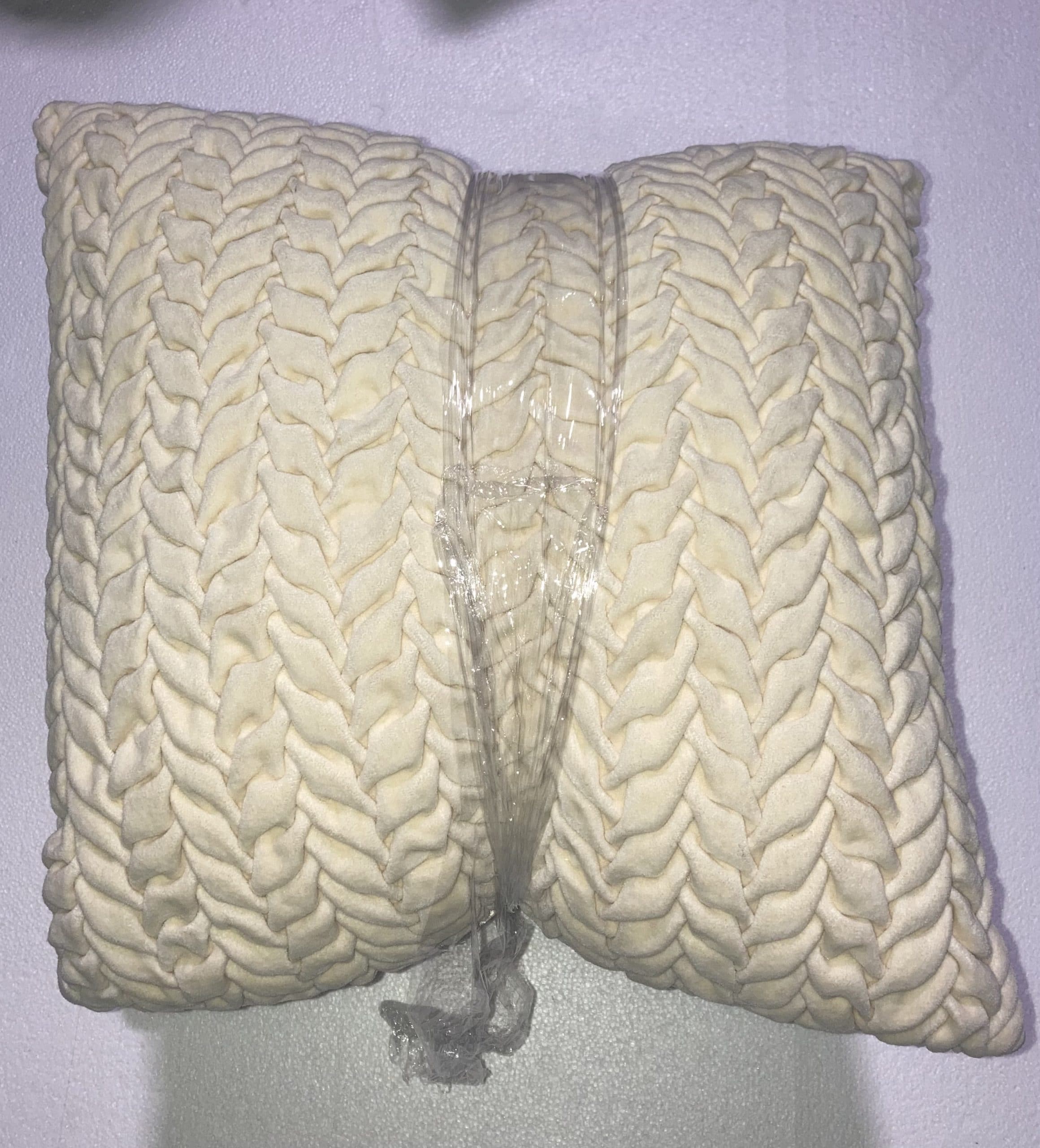 Cream & Champagne Fish Tail Throw Pillow Set 16 x 16