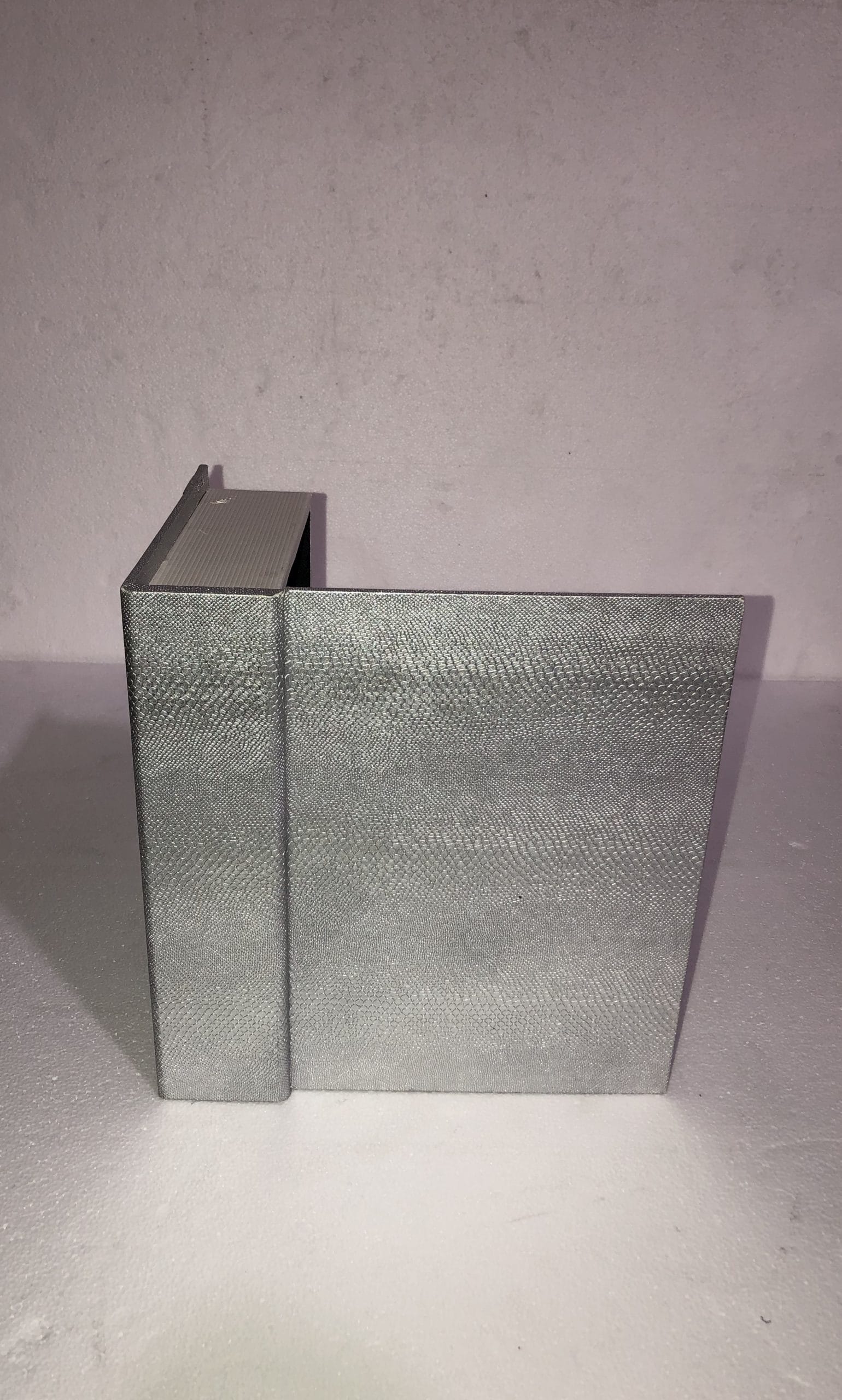 Silver Crocodile Decorative Box II 8X11