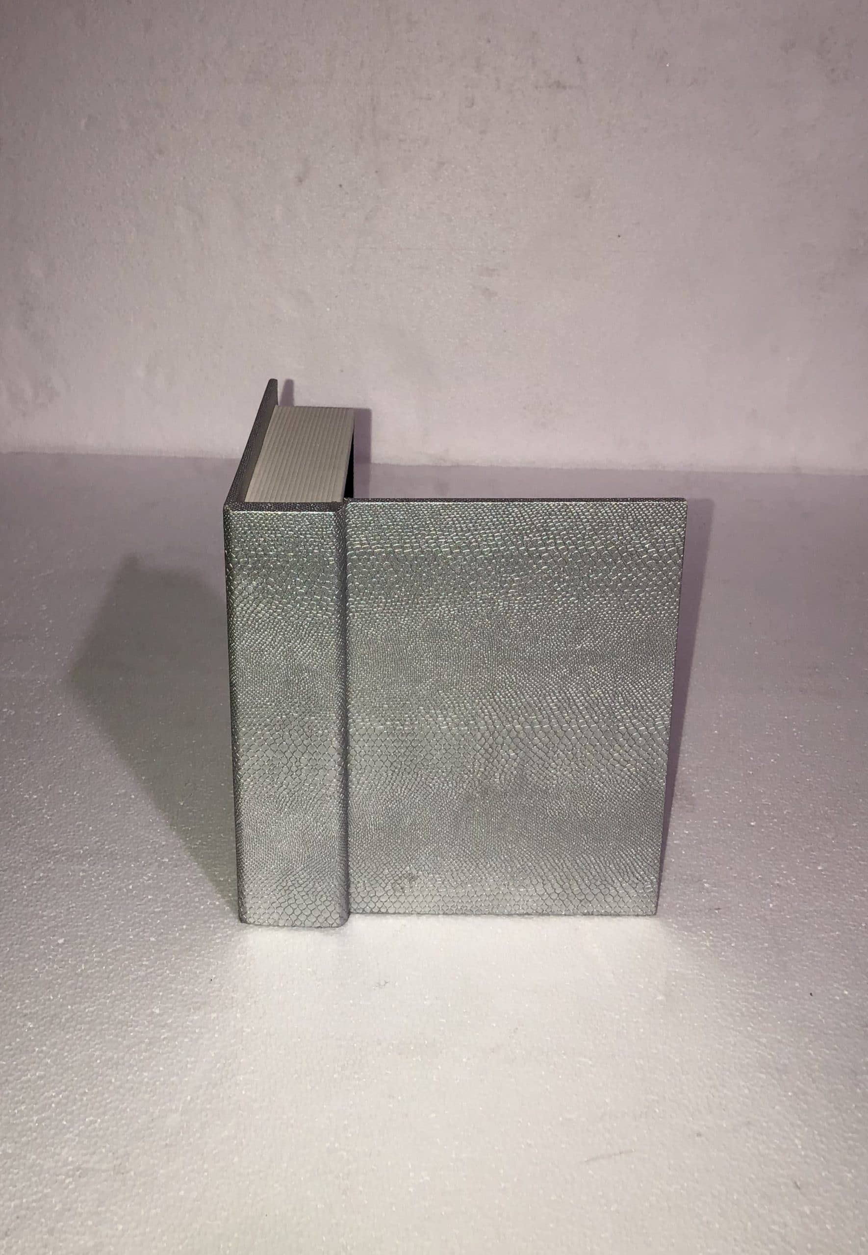 Silver Crocodile Decorative Box III