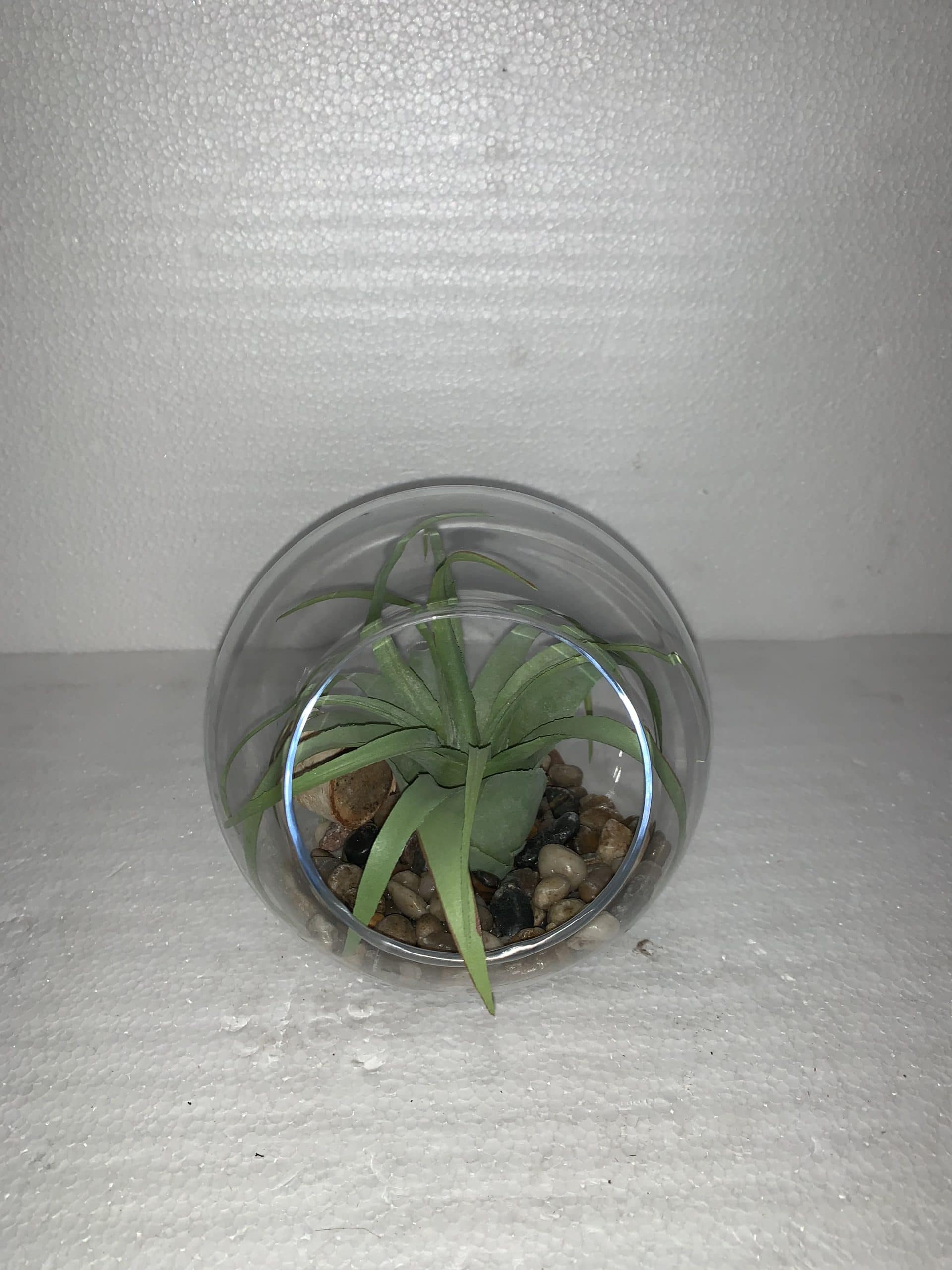 Greenery in Clear Glass Sphere on Wood Stand 6"