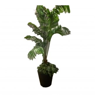 Black Cylinder Base Palm Tree 6"