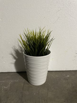 Assorted Greens in White Waves Pot