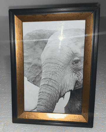 Gold w/ Black Edge 5x7