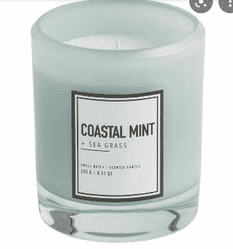 Coastal Mint Scented Candle 4x3"