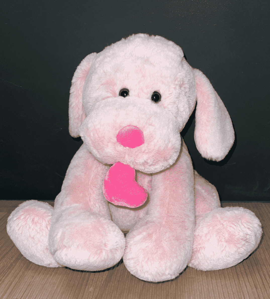 Pink Stuffed Dog