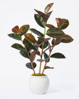 Artificial Rubber Tree